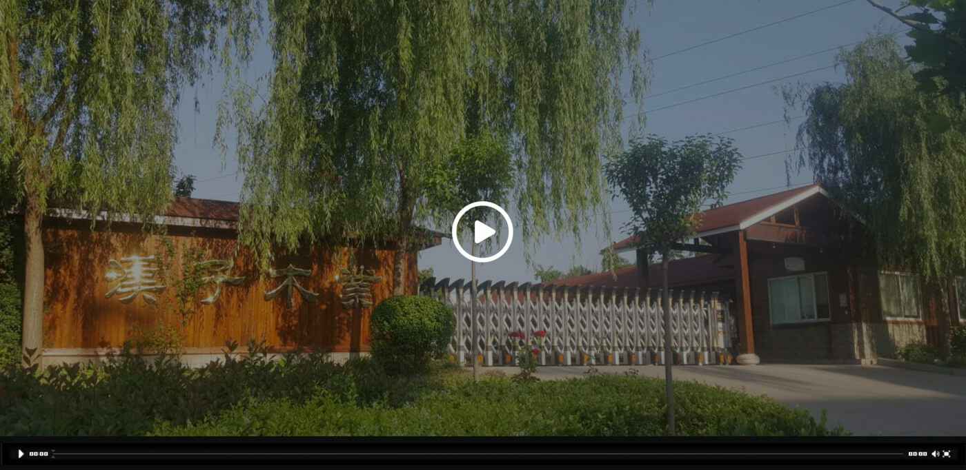 郑州白诚经济咨询服务有限公司