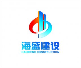 海盛集团VIS系统设计